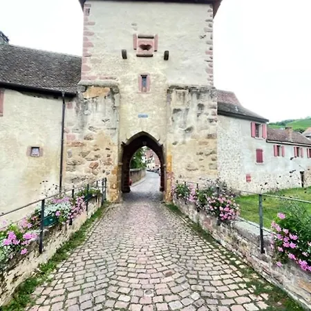 Apartamento Le Rustique - Le Charme Alsacien Du Vignoble