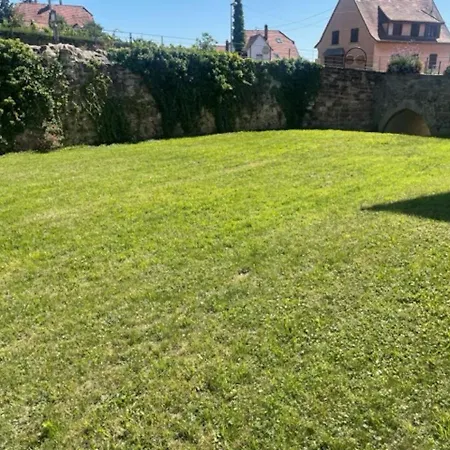 Le Rustique - Le Charme Alsacien Du Vignoble Apartamento *