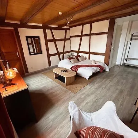 Apartamento Le Rustique - Le Charme Alsacien Du Vignoble Turckheim