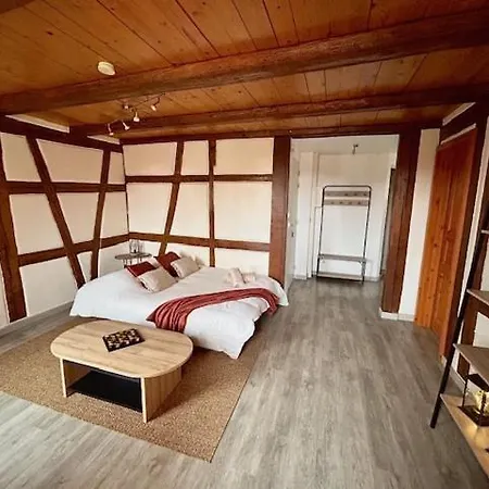 Le Rustique - Le Charme Alsacien Du Vignoble