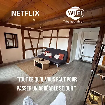 Apartamento Le Rustique - Le Charme Alsacien Du Vignoble *