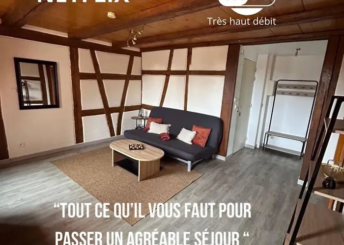 아파트 Le Rustique - Le Charme Alsacien Du Vignoble *